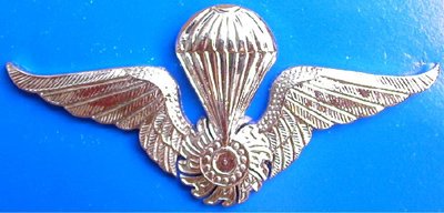 THAI ARMY PARACHUTE METAL WINGS BADGE PIN WITH GEAR DISK CENTER, THAILAND