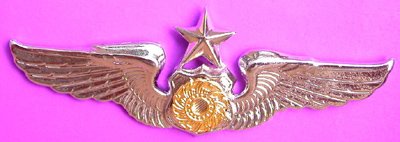 Thai Army Metal Wings Badge Pin with a Gear Disk Center and One Star Top, Insignia Thailand