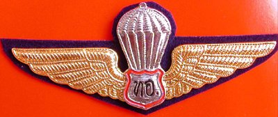 Thai Air Force Parachte Jump Metal Wings Badge Pin with air force in Thai lettering & Shield Center, Insignia Thailand