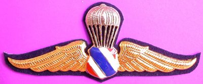 Thai Air Force and Police Parachute Metal Wings Badge Pin with Thai Military Shield Center, Insignia Thailand