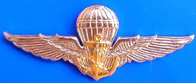 Thai Navy Parachute Metal Wings Badge Pin, Insignia Thailand