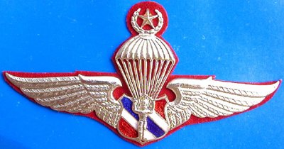Thai Senior Police Parachute Metal Wings Badge Pin with Thai Military Shield & Parachutist Center and One Star Top, Insignia Thailand