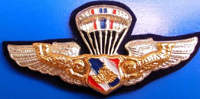 Thai Air Force Parachute Metal Wings Badge Pin with Parachutists Side and Thai Military Shield Center, Insignia Thailand