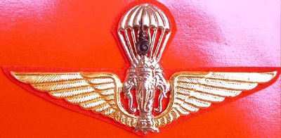 Thai Army Parachute Metal Wings Badge Pin with 