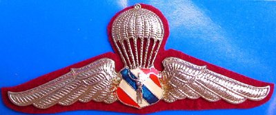 Thai Air Force and Police Parachute Metal Wings Badge Pin with Thai Military Shield & Parachutist Center, Insignia Thailand