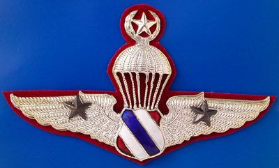 Thai Police Parachute Wings Badge Pin, Highest Master Degree