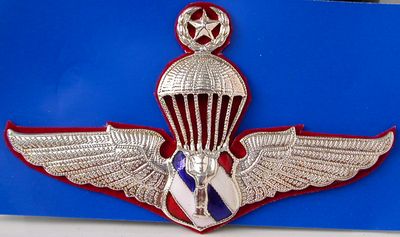 Highest Master Royal Thai Police Parachute Jump Wings Badge Pin