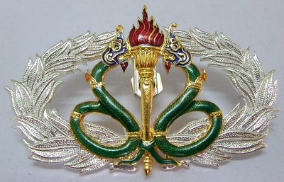 Thai Medical Warfare Badge Pin