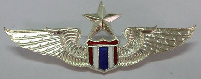 Master Thai Military Rigger Wings Badge Pin